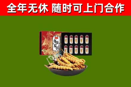 蓝田烟酒回收冬虫夏草礼盒.jpg